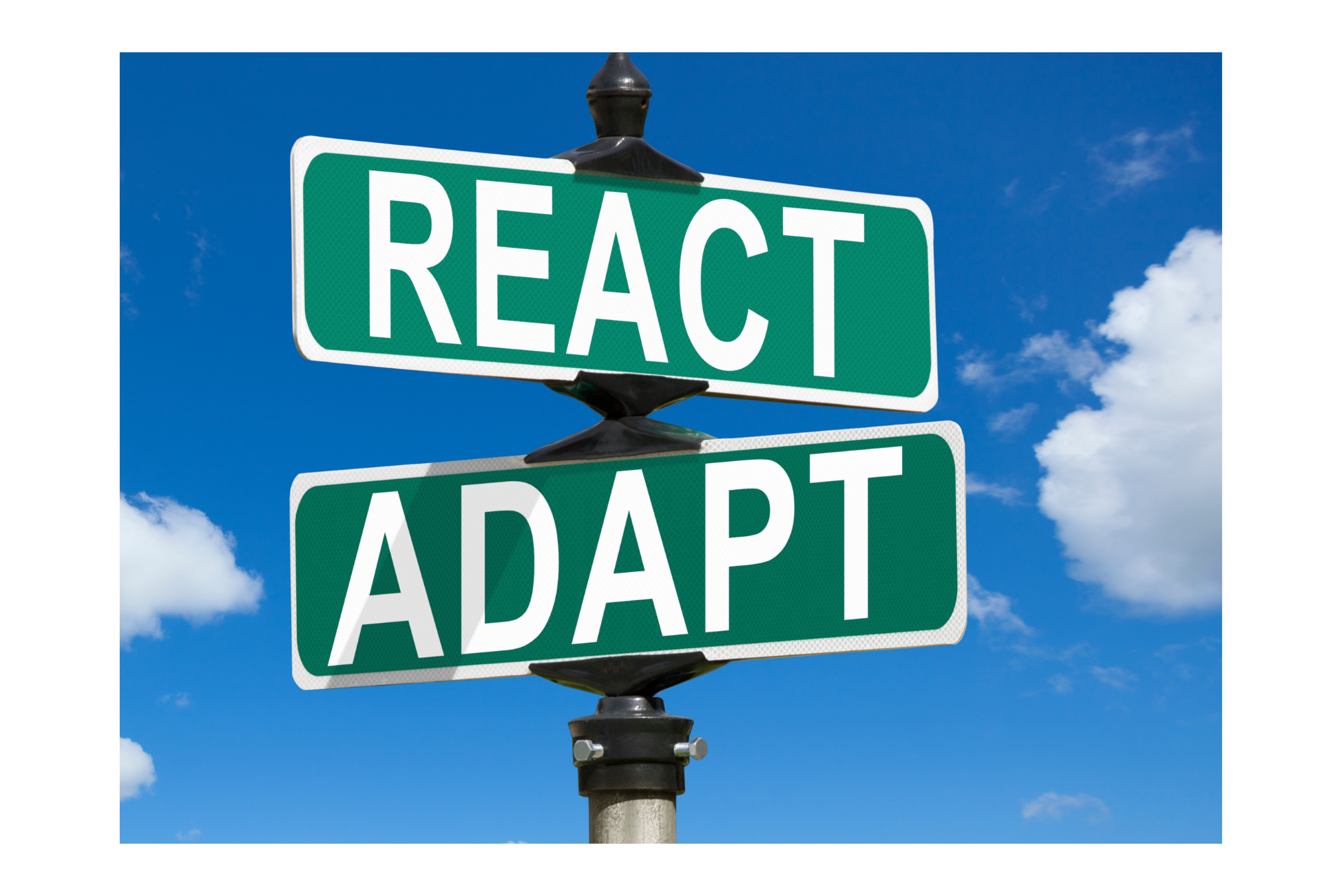6 Reasons That Why You Should Choose React for Your Web App