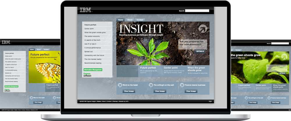 graphic-designer-IBM-website-design