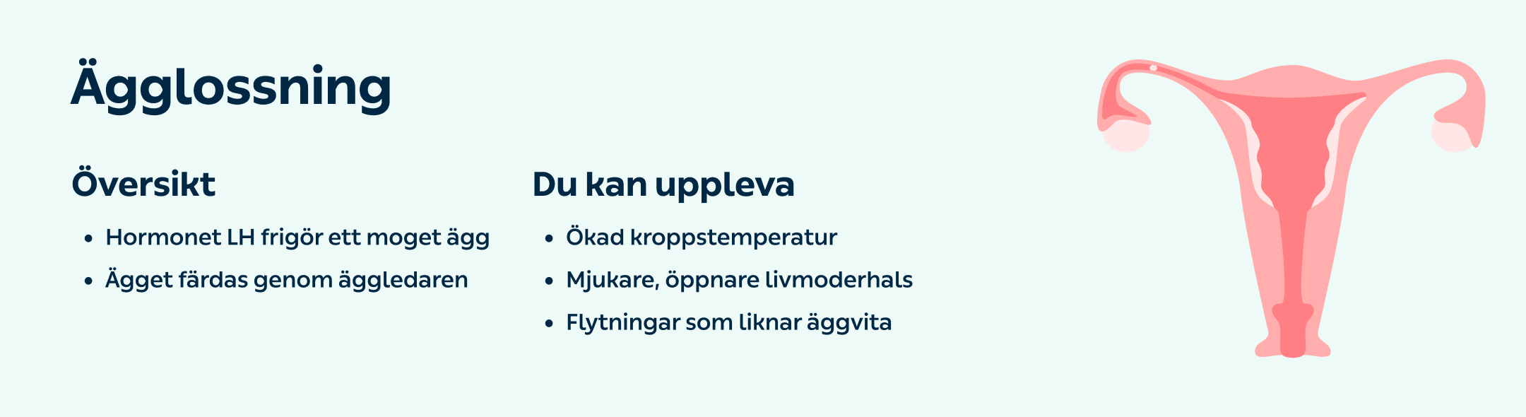 Kolla på alternativa finansieringsmöjligheter