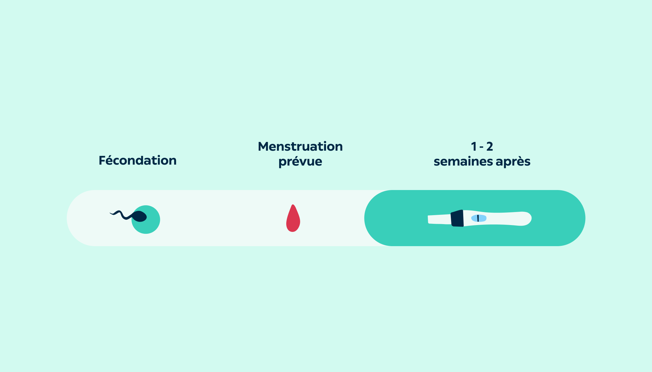 Test de grossesse résultat rapide, PREMIÈRE RÉPONSE