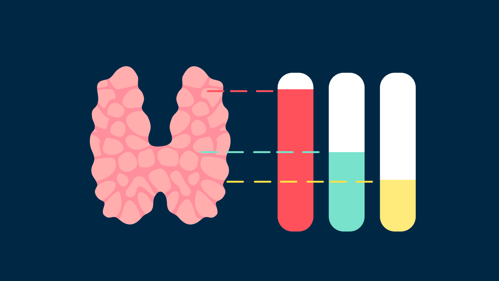 Santé hormonale | Livi