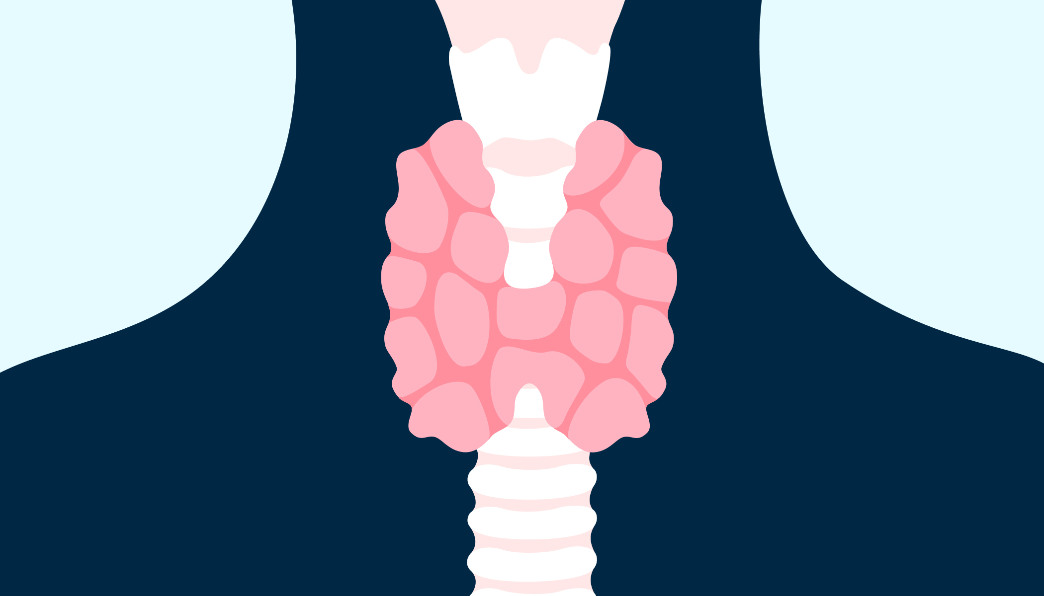 Définition  Dopamine : rôle et fonctionnement de l'hormone du bonheur