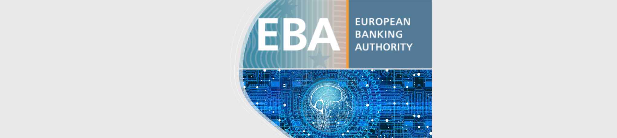 EBA vydala směrnici o úloze a povinnostech AML/CFT | AML solutions