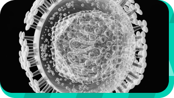 Герпесвирусные инфекции человека и боль в горле