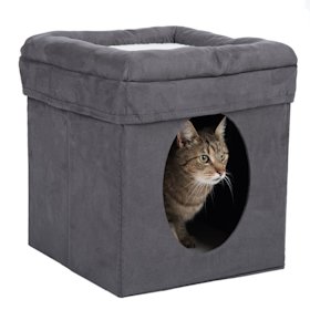 Cucce Lettini Cuscini E Amache Per Gatti Zooplus