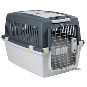 Trasportini E Gabbie Per Cani Accessori Per Viaggiare Con Il Cane