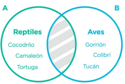 8. Disjunction Venn Diagram (no connection)