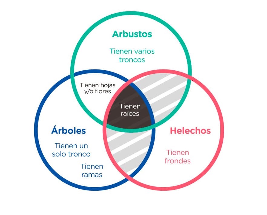 9. Three-set Venn Diagram