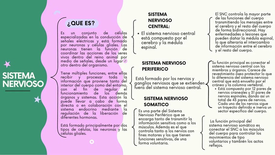 Cuadro sinóptico 1