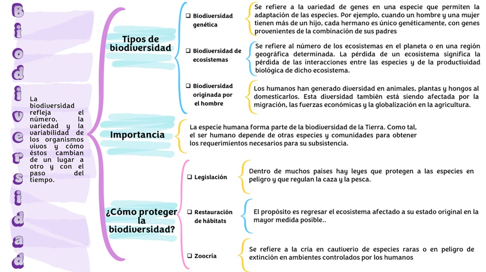 Cuadro sinóptico 2