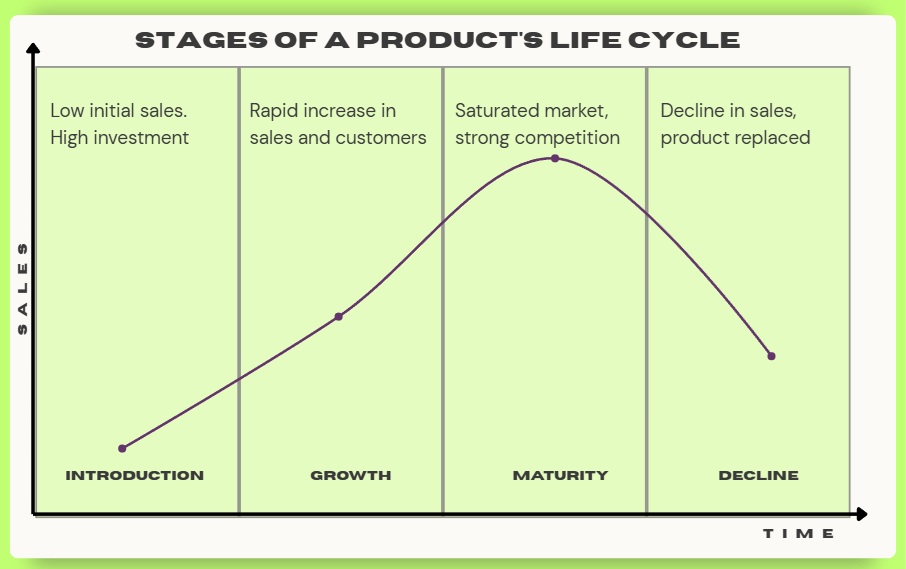 Etapas del ciclo de vida de un producto en ingles