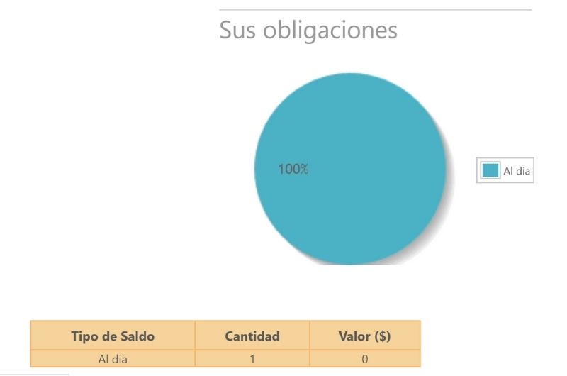 Cómo saber si tengo multas en la Dian