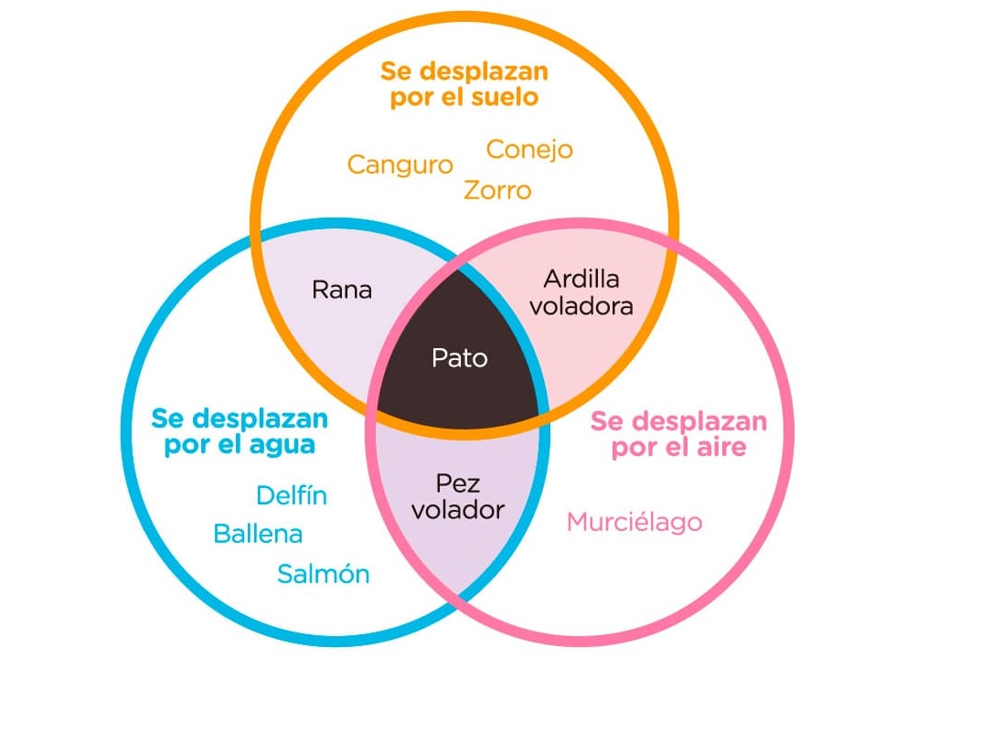 2. Three-set Venn Diagram