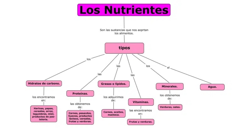 7. Synoptic Chart: Nutrients