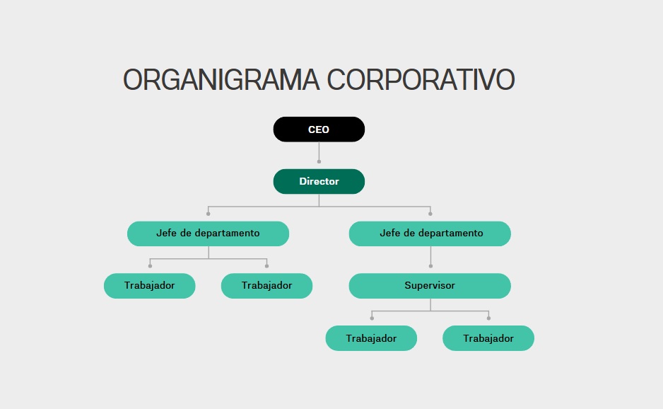 Organigrama