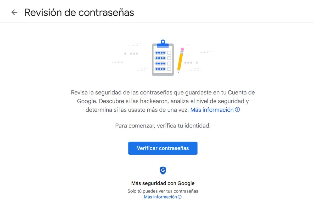 Google Password Manager Password Review Panel