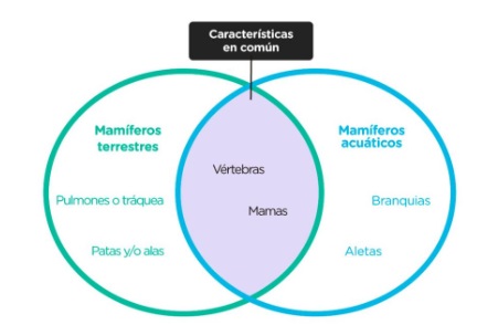 1. Two-set Venn Diagram