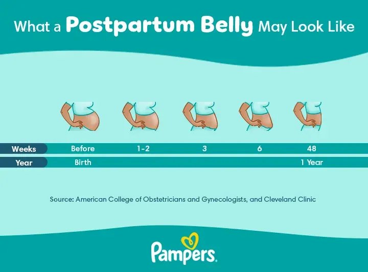 Pampers Postpartum belly