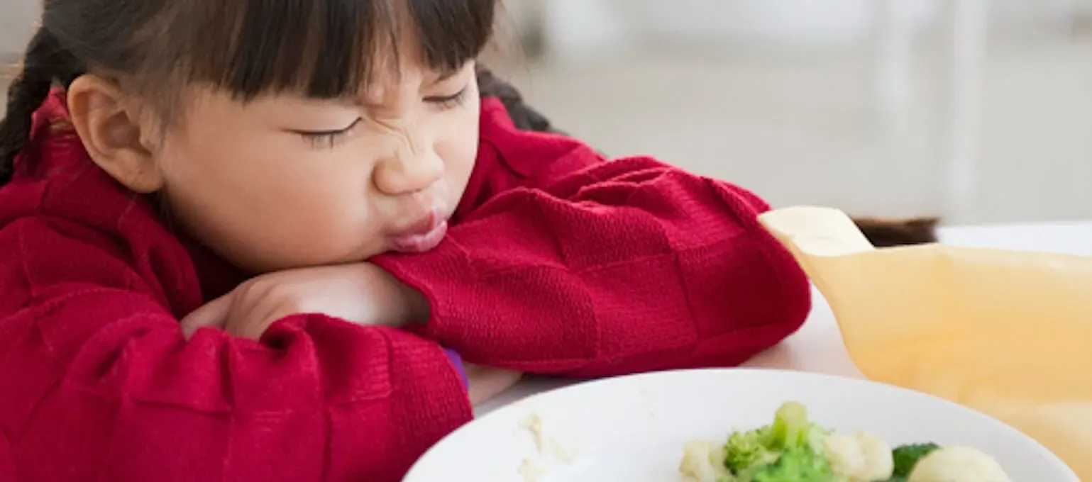 Picky Toddler Feeding