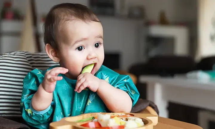 Baby-Led Weaning What You Need to Know & When Your Baby Begins Self-Feeding