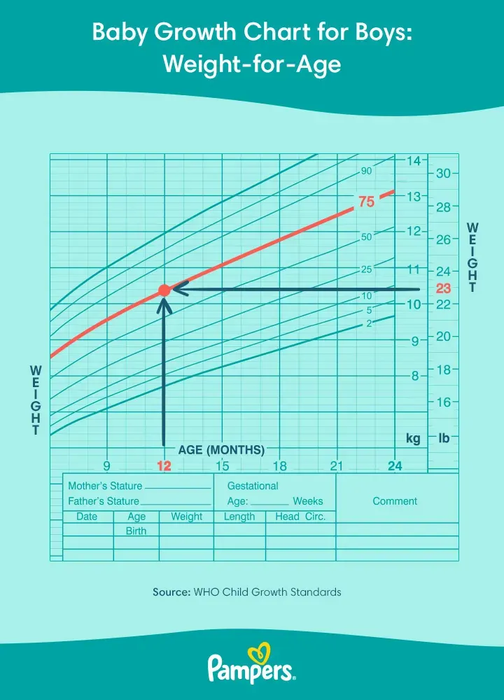 Pampers BabyGrowthChart Boys