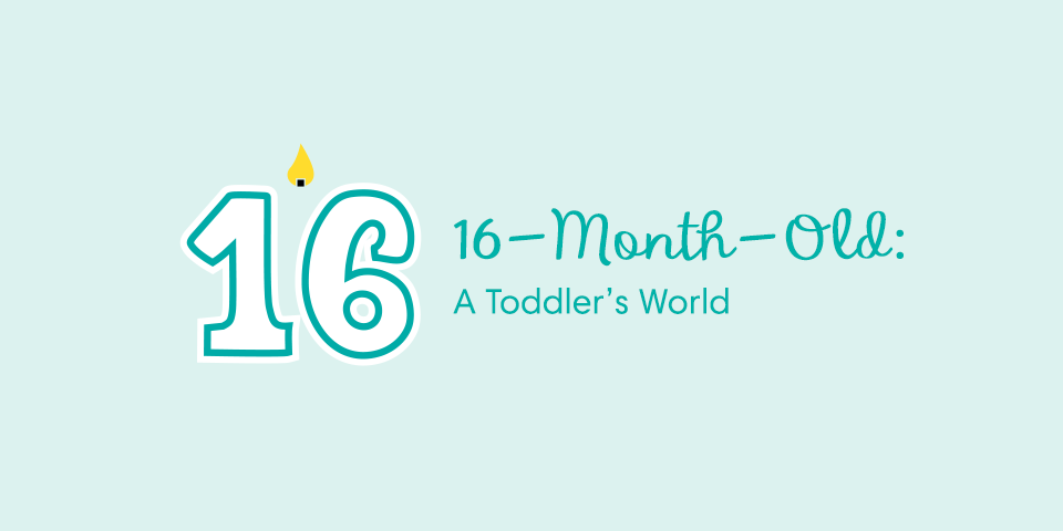 16 Month Baby Milestones: A Toddler’s World