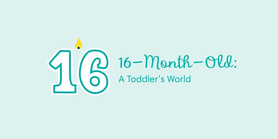 16 Month Baby Milestones: A Toddler’s World
