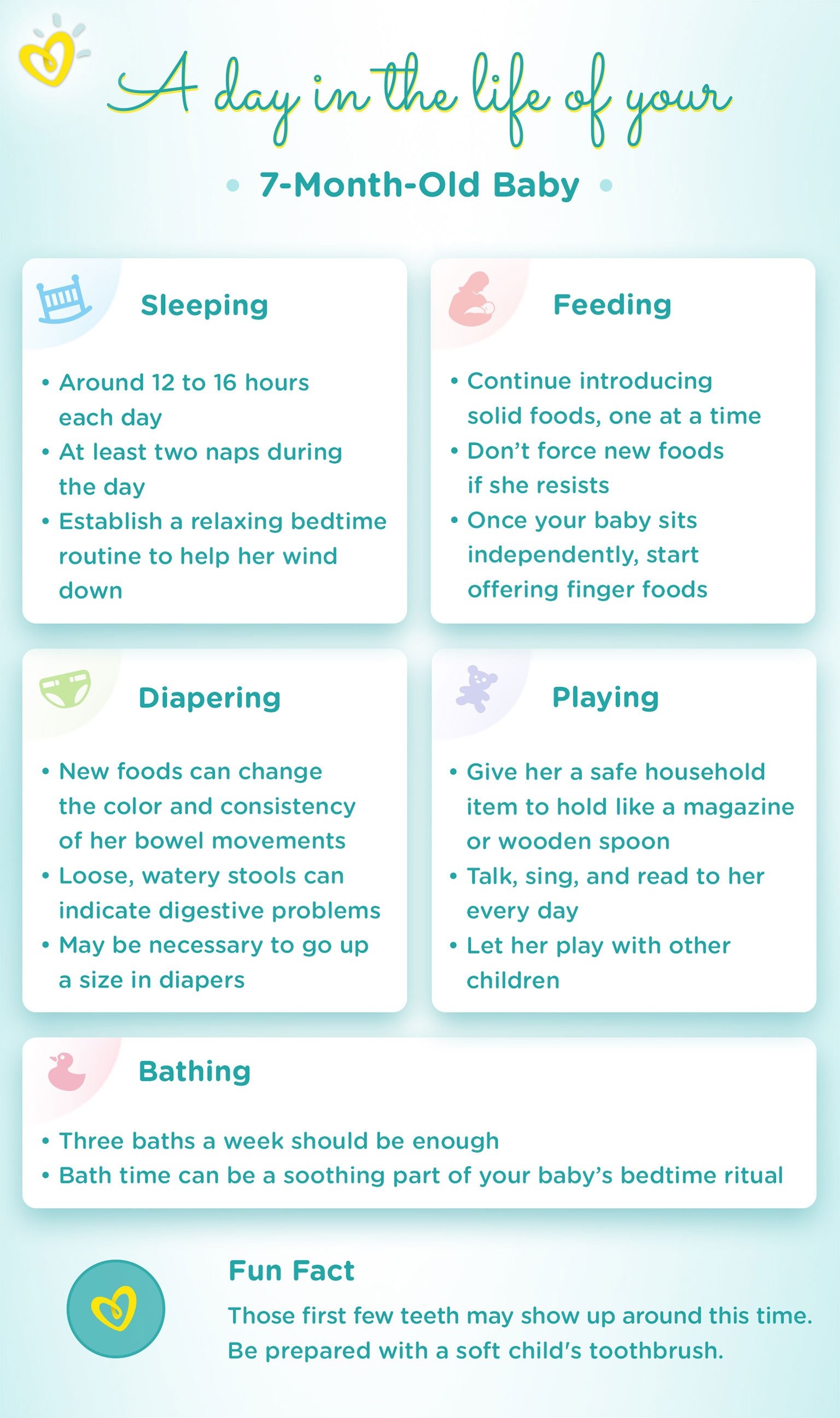 7 Month Old Baby – Activities & Development – Pampers India