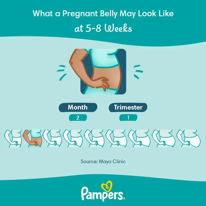 Pampers US Belly Growth 2 month