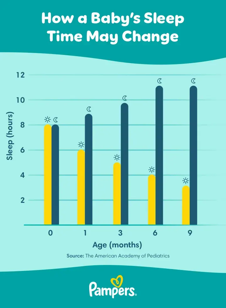 Pampers Daytime and nighttime sleep in babies