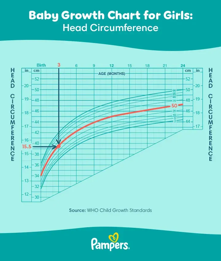 This is a baby growth chart made by the WHO showing the relation between head circumference & age for girls from birth to 24 months old, with markings showing percentiles of baby growth. This is used by Pediatricians to map a child's growth.