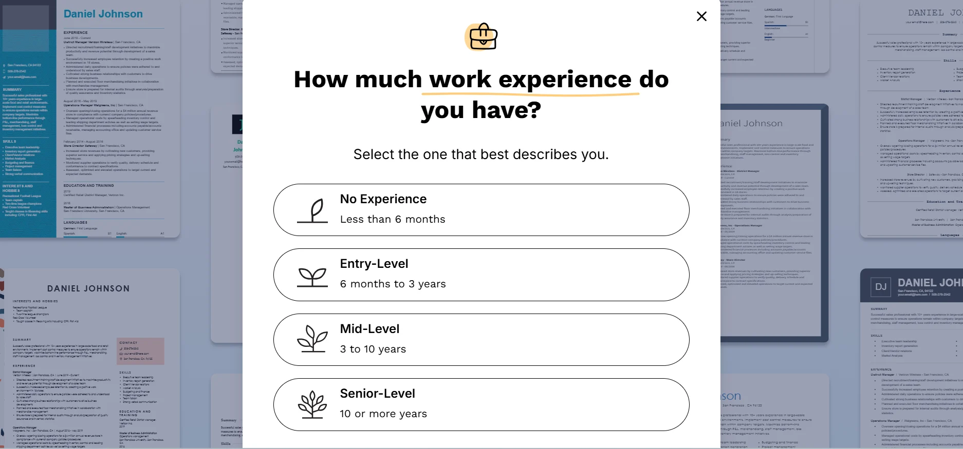 Key Features of Resume Now Builder