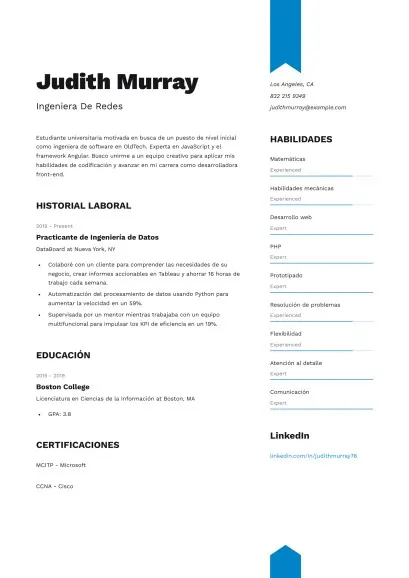 curriculum vitae ingeniero