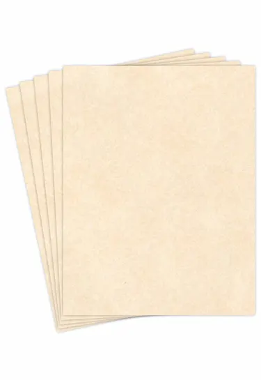 parchment paper