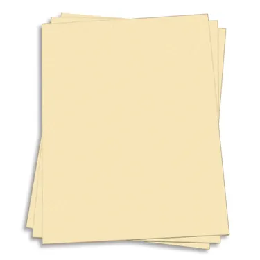 ivory resume paper