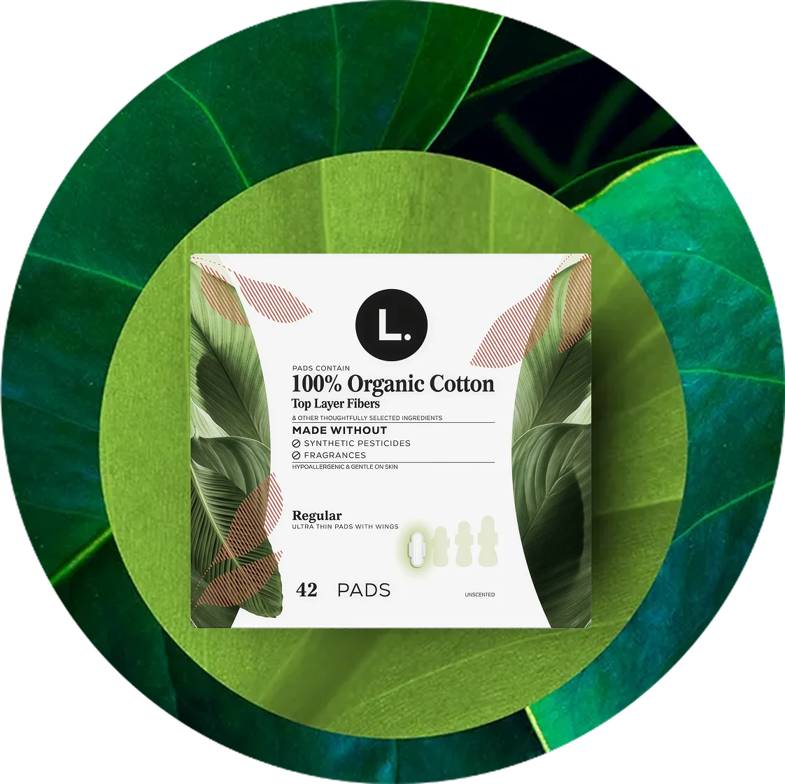 Box of L. Cotton Top Layer Regular pads, 42 count