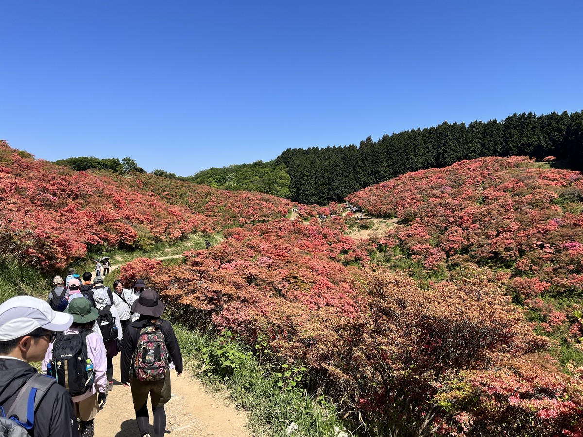 大和葛城山