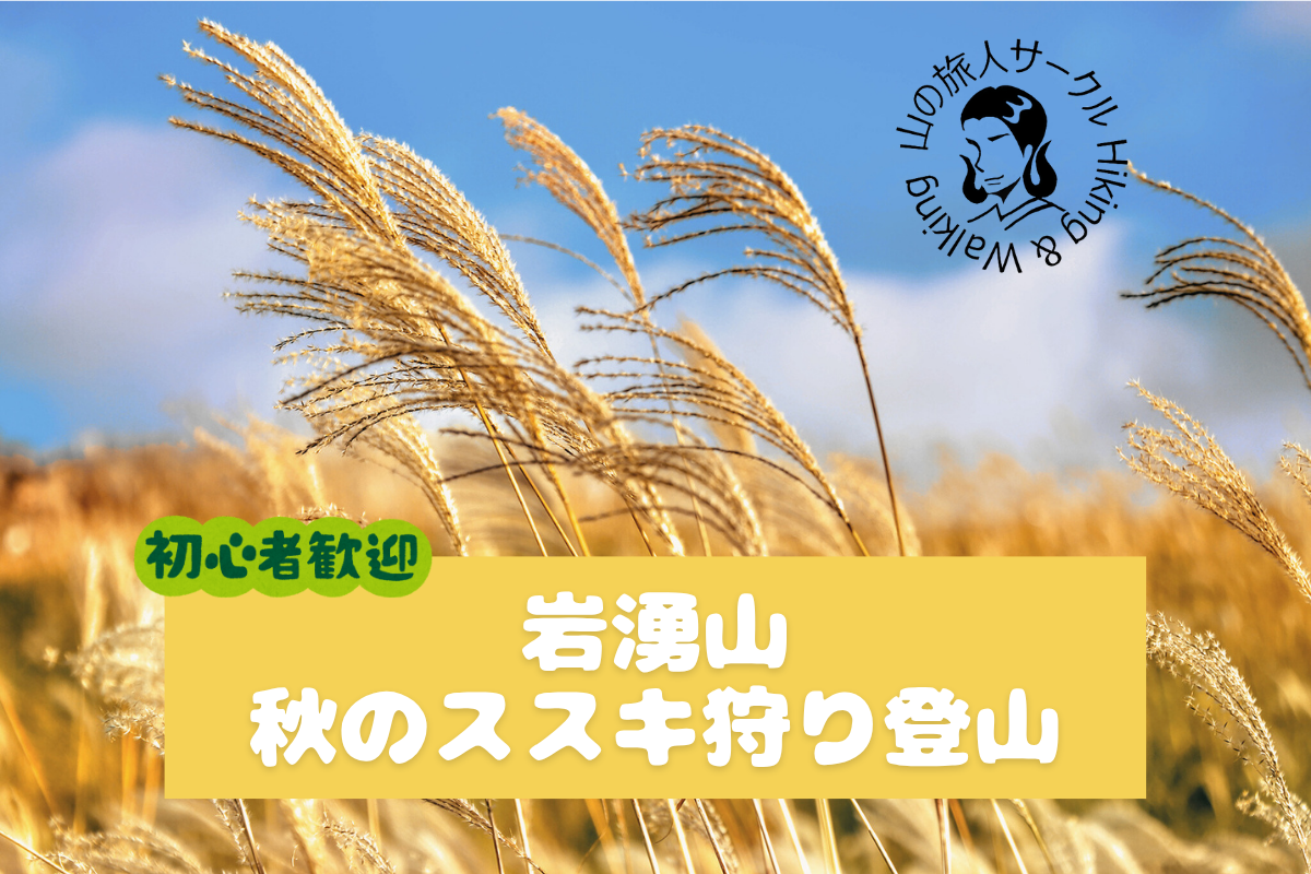 ※振替※【新百名山の一つ岩湧山】すすき狩り登山
