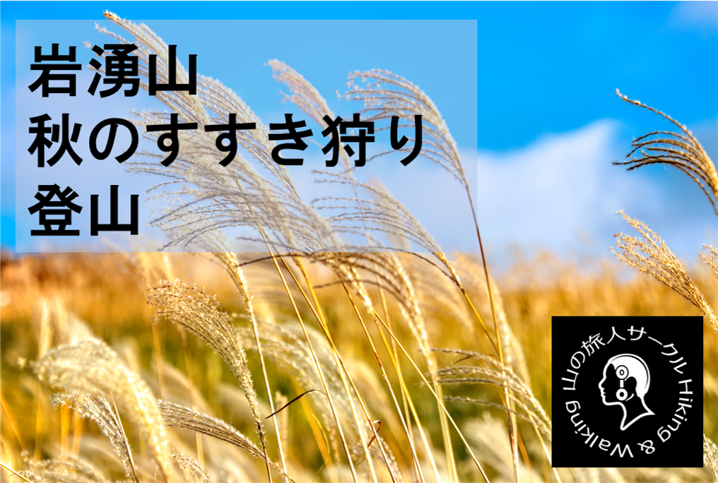 【新百名山の一つ岩湧山】すすき狩り登山★