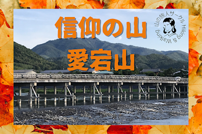 2024/11/24 愛宕山ハイキングレポート