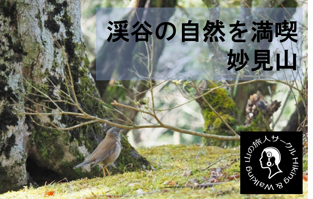 【能勢の妙見山登山】水と緑の豊かなせせらぎを巡ろう！