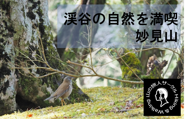【能勢の妙見山登山】水と緑の豊かなせせらぎを巡ろう!