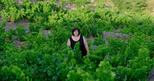 Our top female winemakers