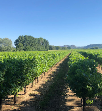 Rhône