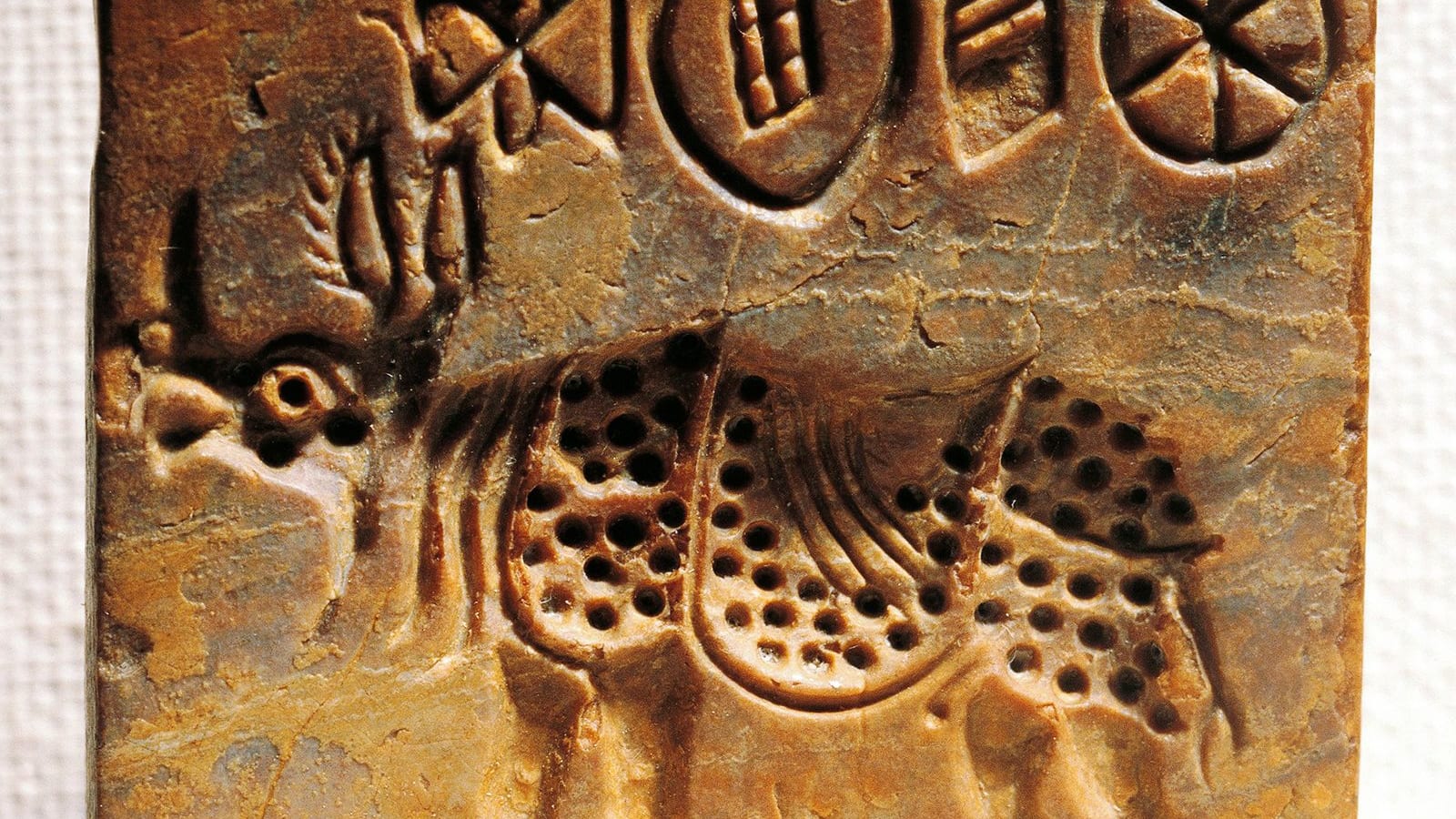 رموز تُحير العلماء منذ أكثر من 150 عام... وجائزة بمليون دولار لمن يفكها