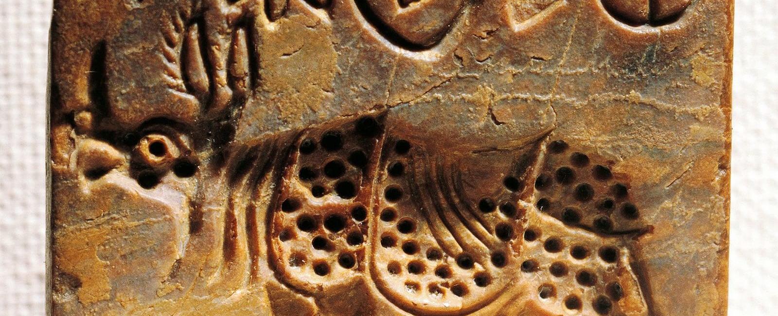 رموز تُحير العلماء منذ أكثر من 150 عام... وجائزة بمليون دولار لمن يفكها