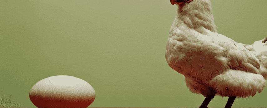 "البيضة من الدجاجة أم العكس؟": وأخيرًا... حسم الجدل