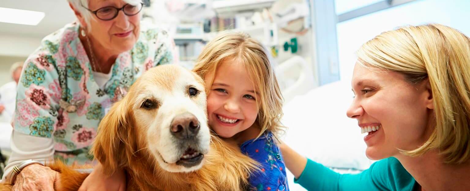 العلاج بالحيوانات الأليفة: كيف تساهم هذه المخلوقات في تخفيف الألم النفسي والجسدي؟