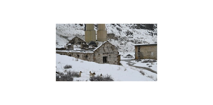 "آدم" آت بثلوجه وعواصفه وصقيعه الخميس ويشتد يومي السبت والأحد