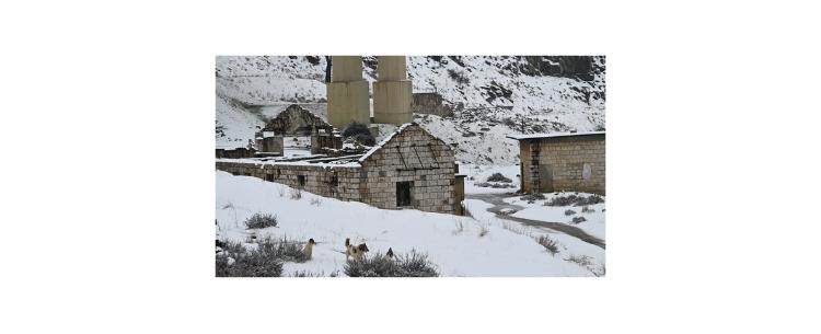 "آدم" آت بثلوجه وعواصفه وصقيعه الخميس ويشتد يومي السبت والأحد